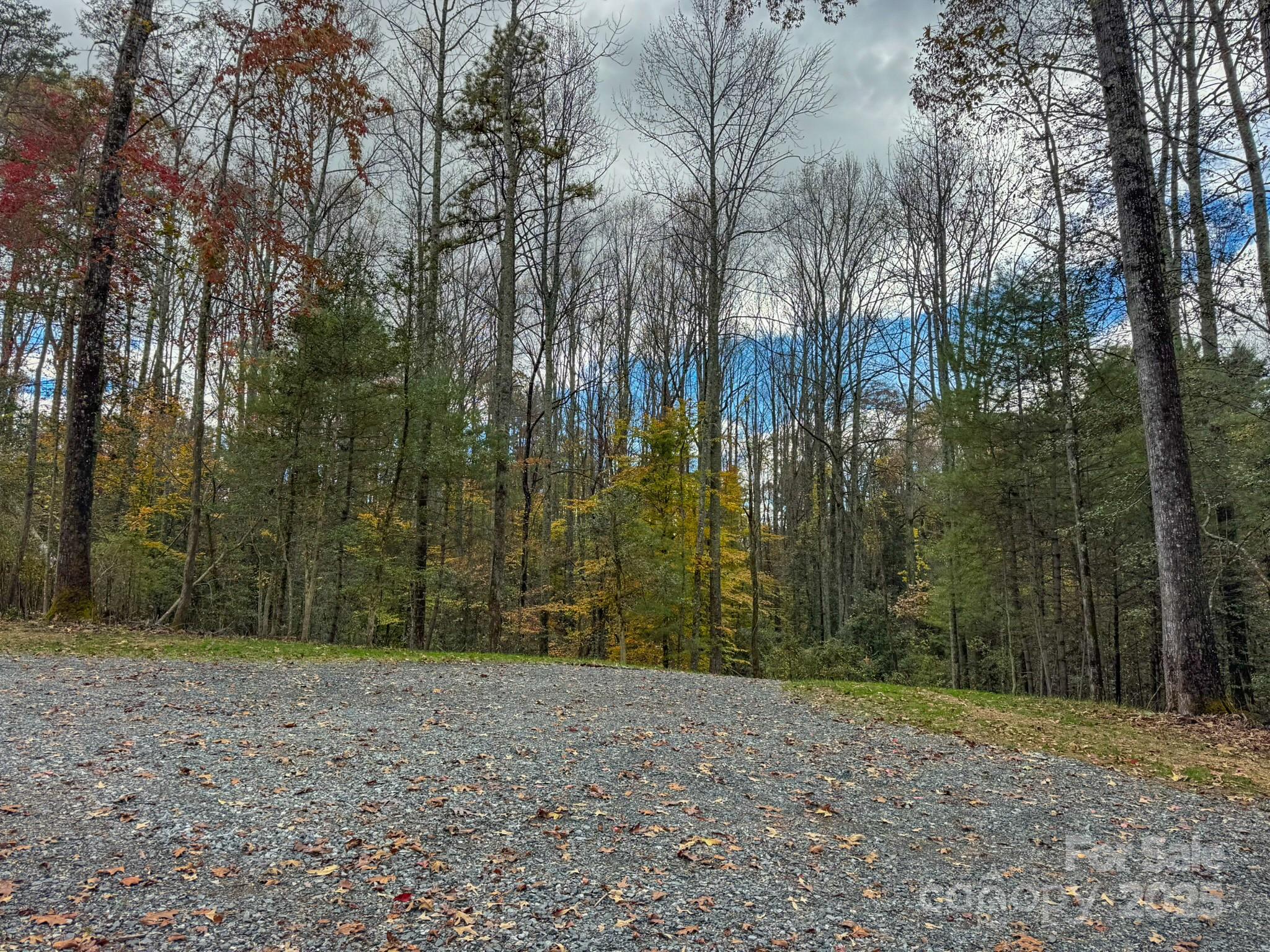 0 Reserve Way, Unit 11 Hendersonville, NC 28792 - Photo 18 of 48 a view of a yard with trees