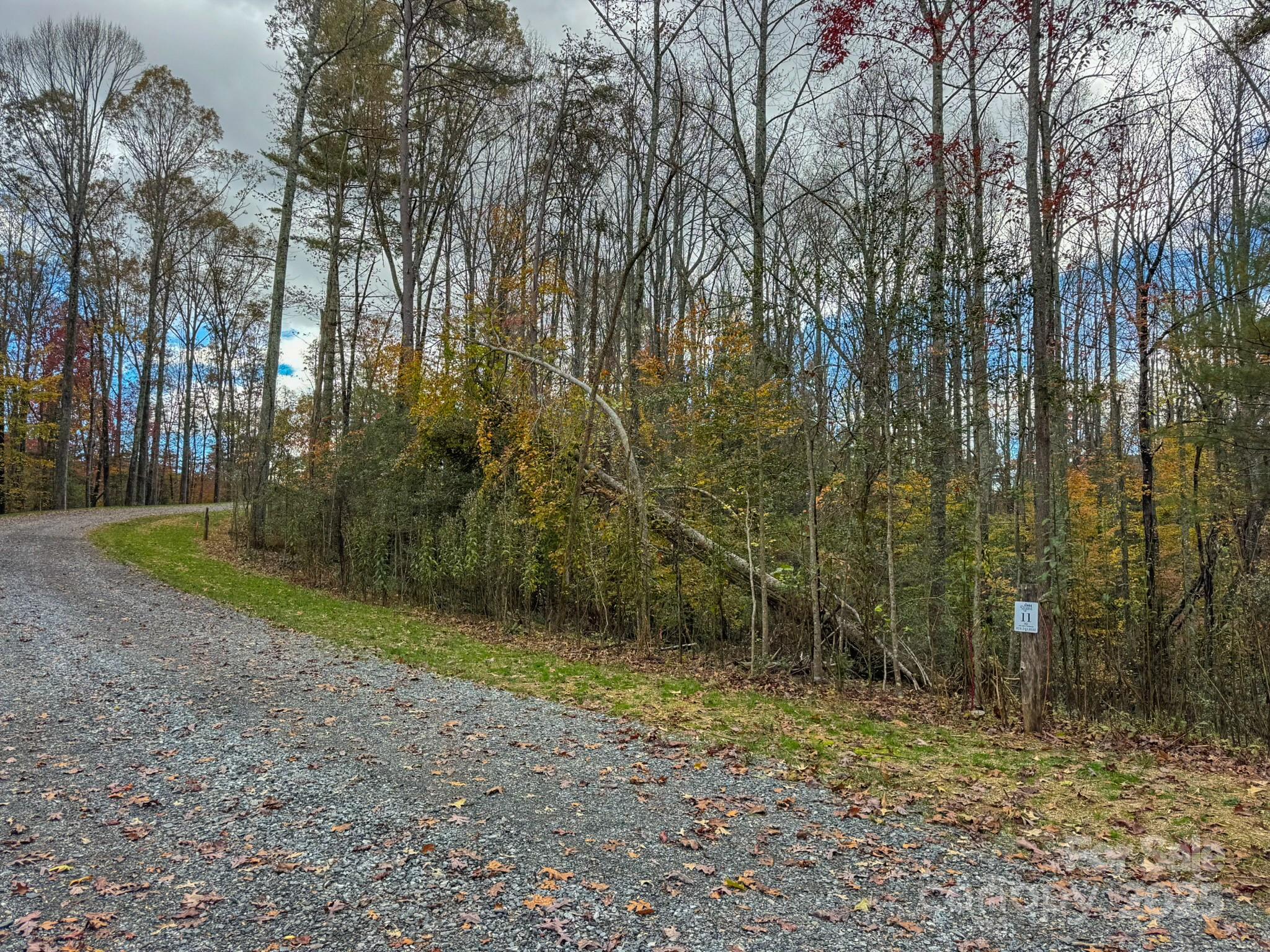 0 Reserve Way, Unit 11 Hendersonville, NC 28792 - Photo 19 of 48 a view of a yard with trees