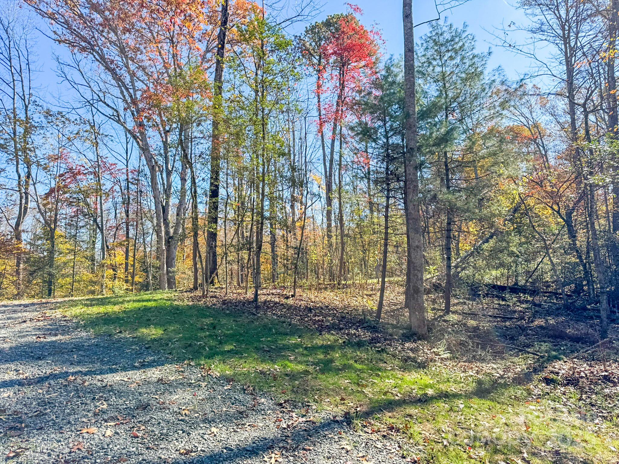 0 Reserve Way, Unit 11 Hendersonville, NC 28792 - Photo 20 of 48 a view of a park with a tree