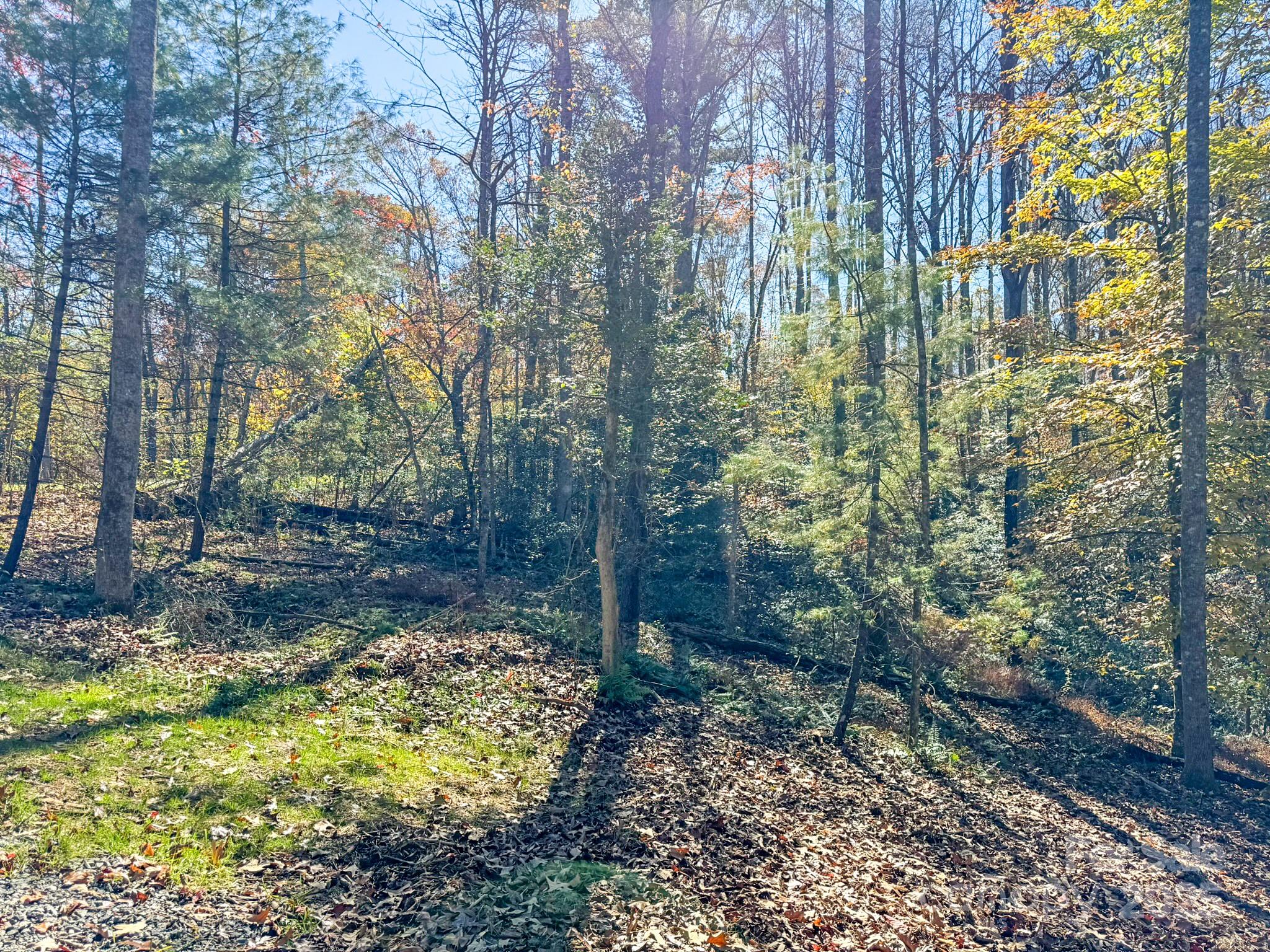 0 Reserve Way, Unit 11 Hendersonville, NC 28792 - Photo 21 of 48 a view of a yard with plants and trees