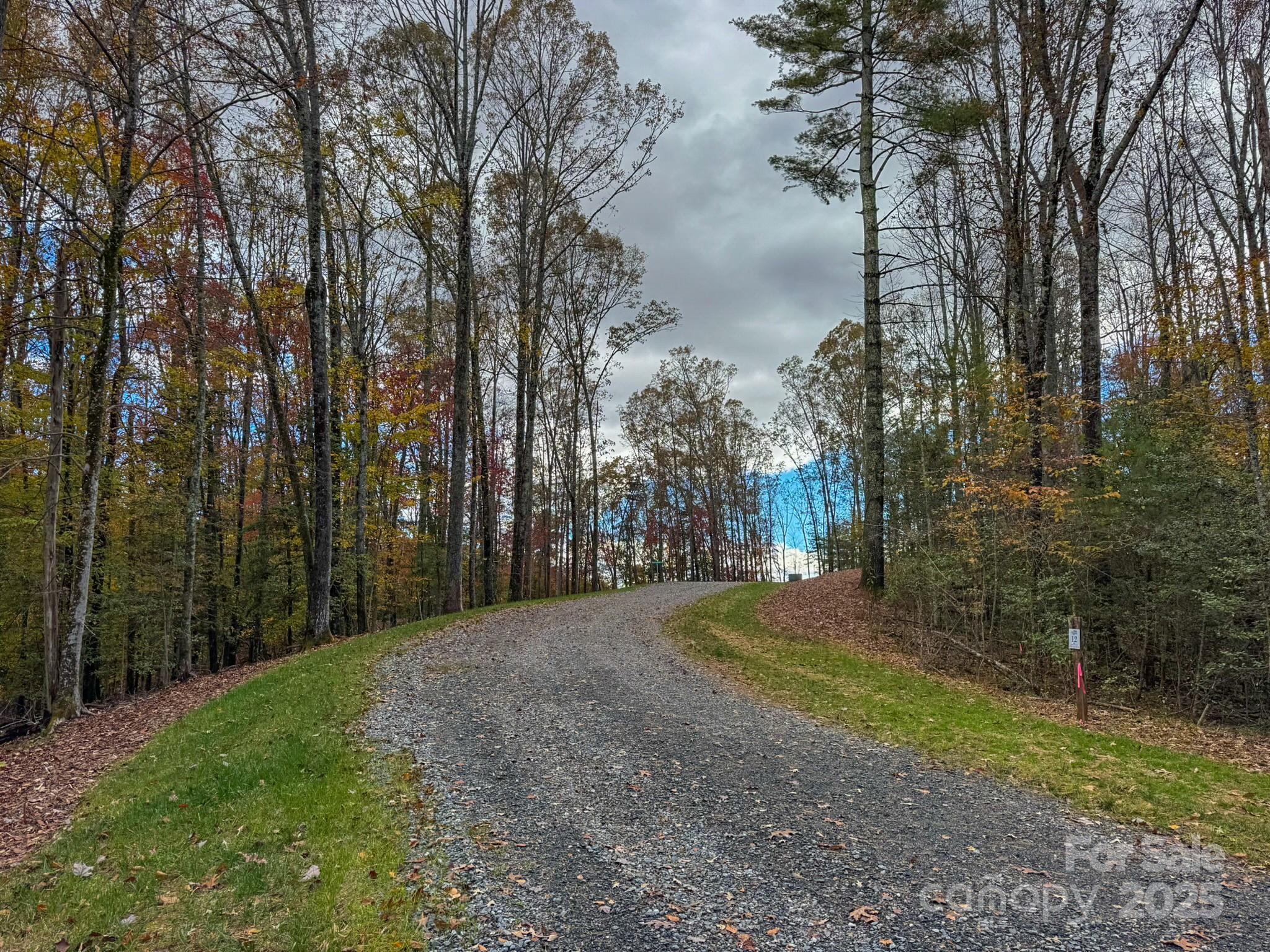 0 Reserve Way, Unit 11 Hendersonville, NC 28792 - Photo 23 of 48 a view of a field with trees in the background