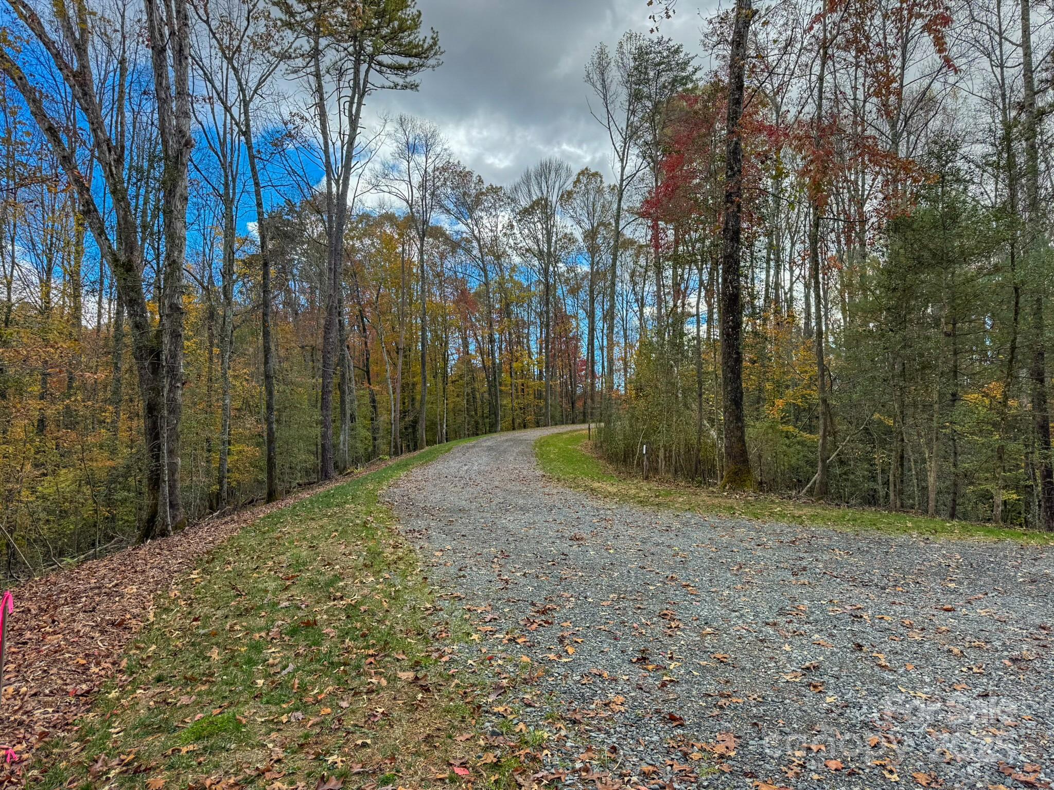 0 Reserve Way, Unit 11 Hendersonville, NC 28792 - Photo 24 of 48 a view of a yard with trees