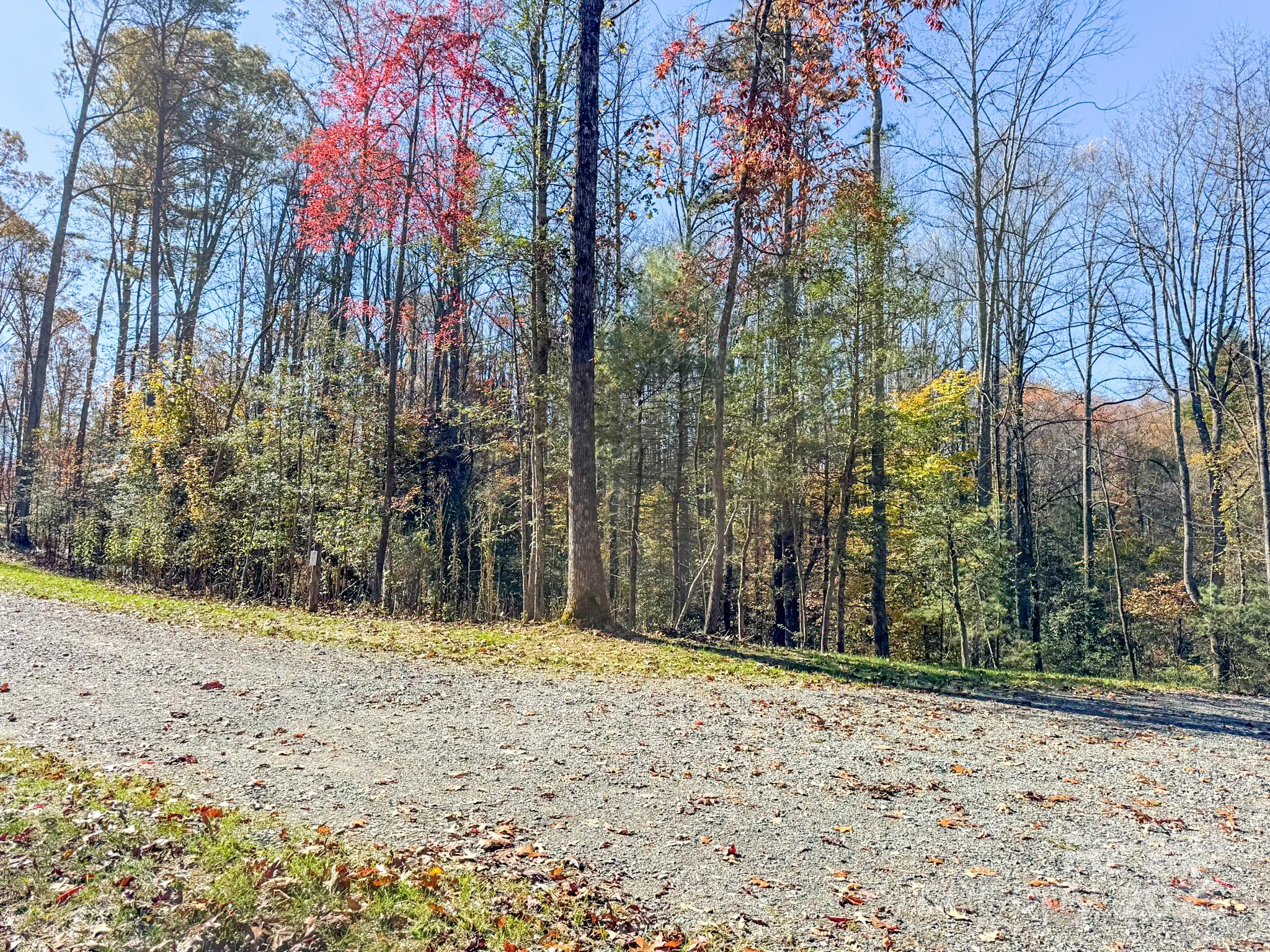 0 Reserve Way, Unit 11 Hendersonville, NC 28792 - Photo 25 of 48 a view of a yard with trees