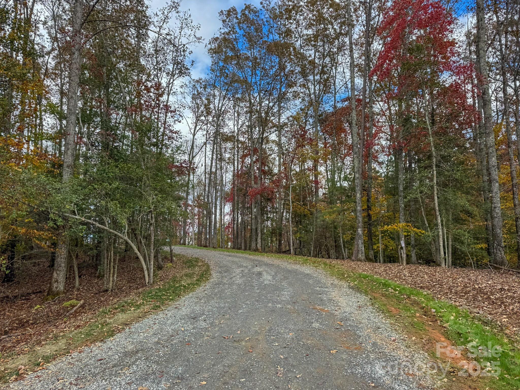 0 Reserve Way, Unit 11 Hendersonville, NC 28792 - Photo 26 of 48 a backyard of a house with lots of trees