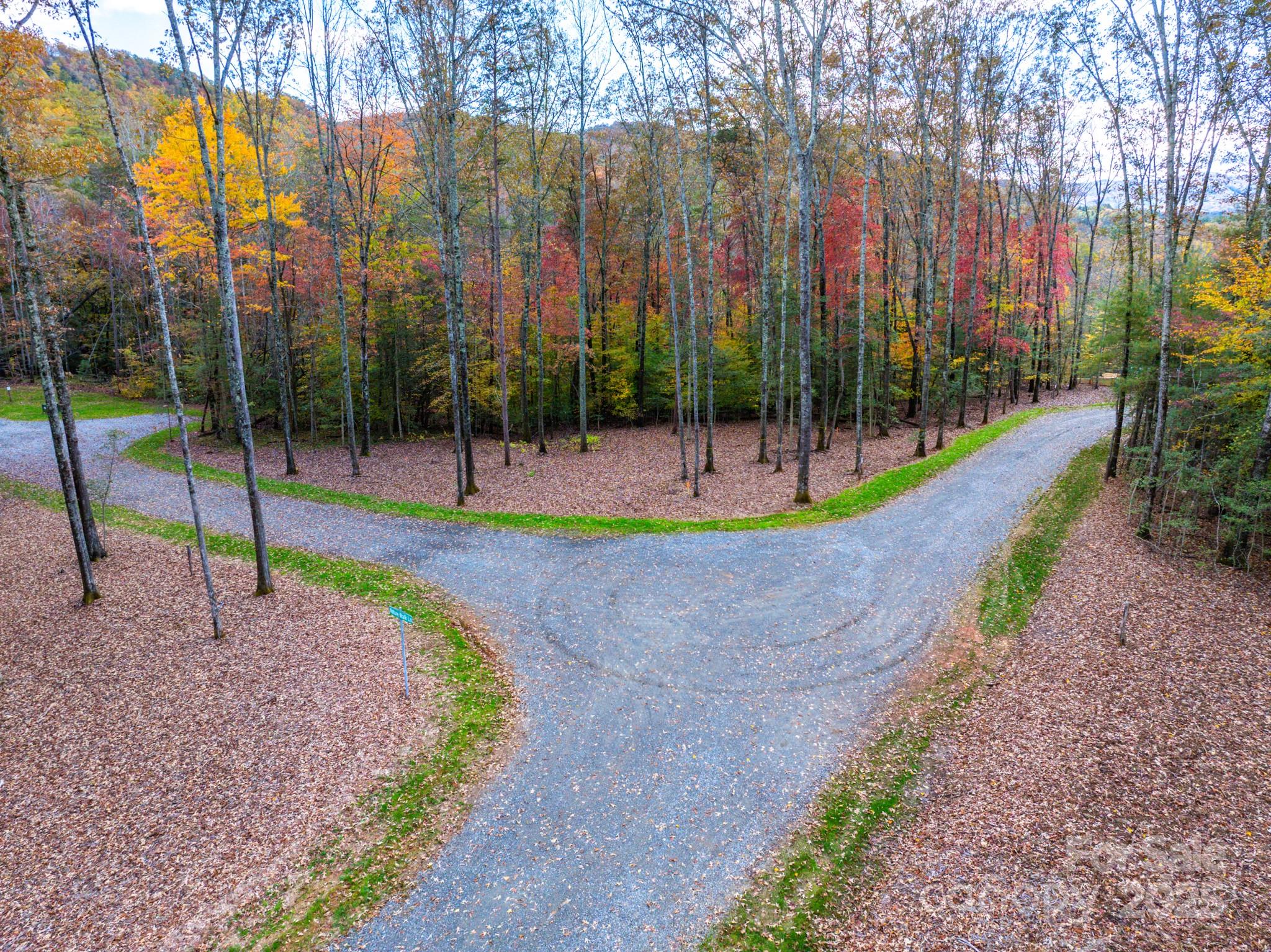 0 Reserve Way, Unit 11 Hendersonville, NC 28792 - Photo 28 of 48 a view of park with tall trees