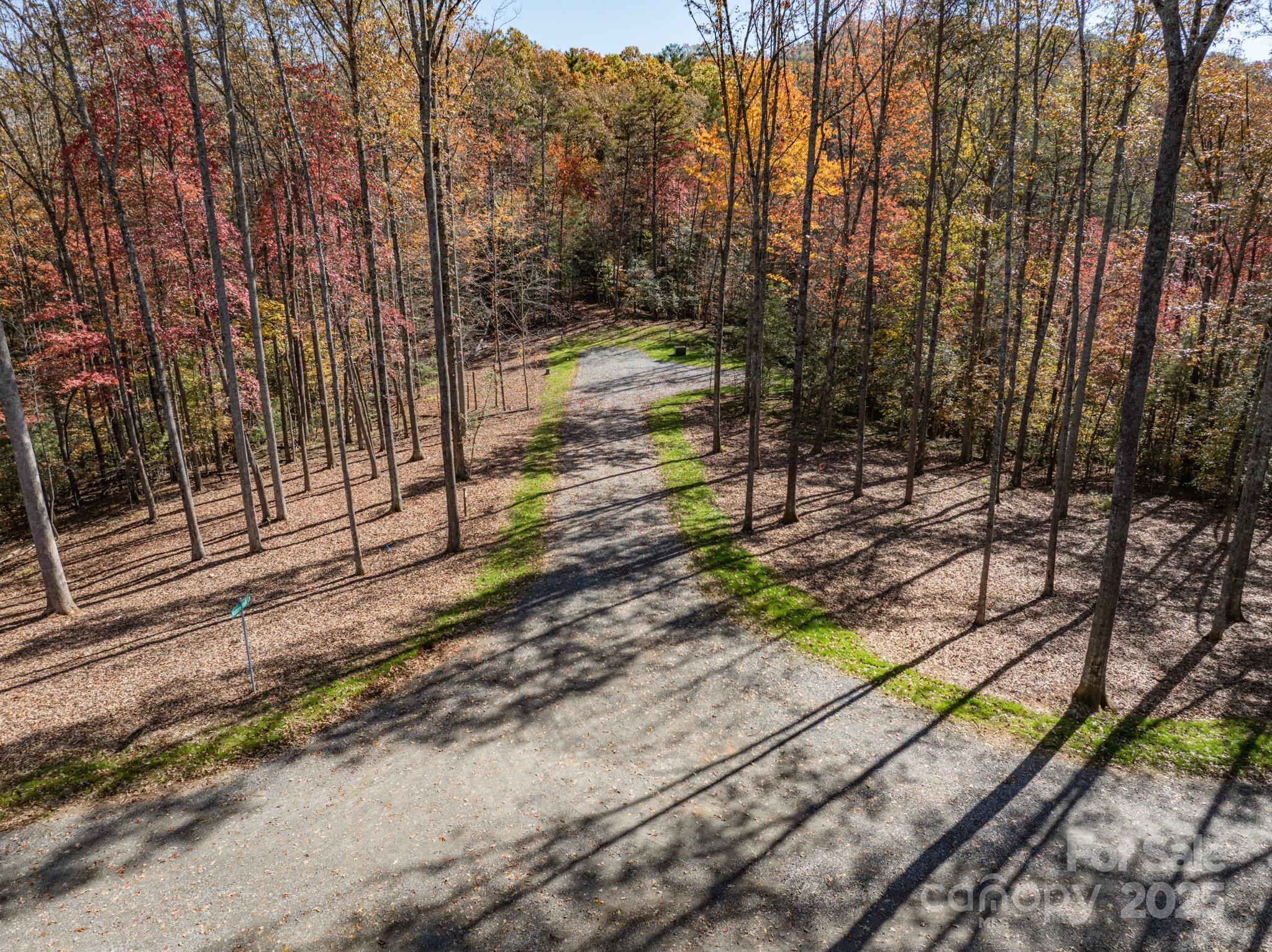 0 Reserve Way, Unit 11 Hendersonville, NC 28792 - Photo 29 of 48 a view of a yard with plants and trees
