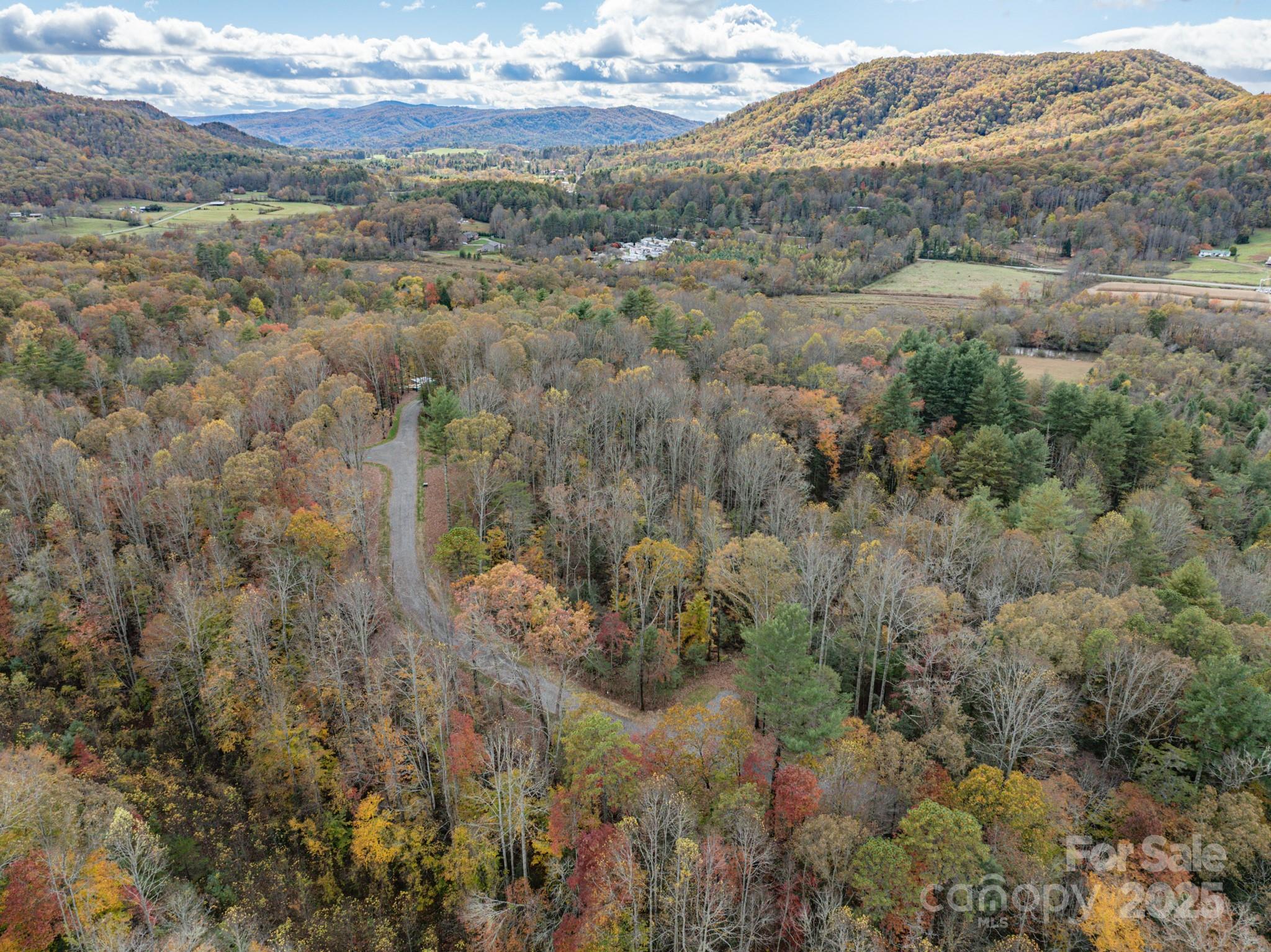 0 Reserve Way, Unit 11 Hendersonville, NC 28792 - Photo 32 of 48 a view of a forest with an outdoor space