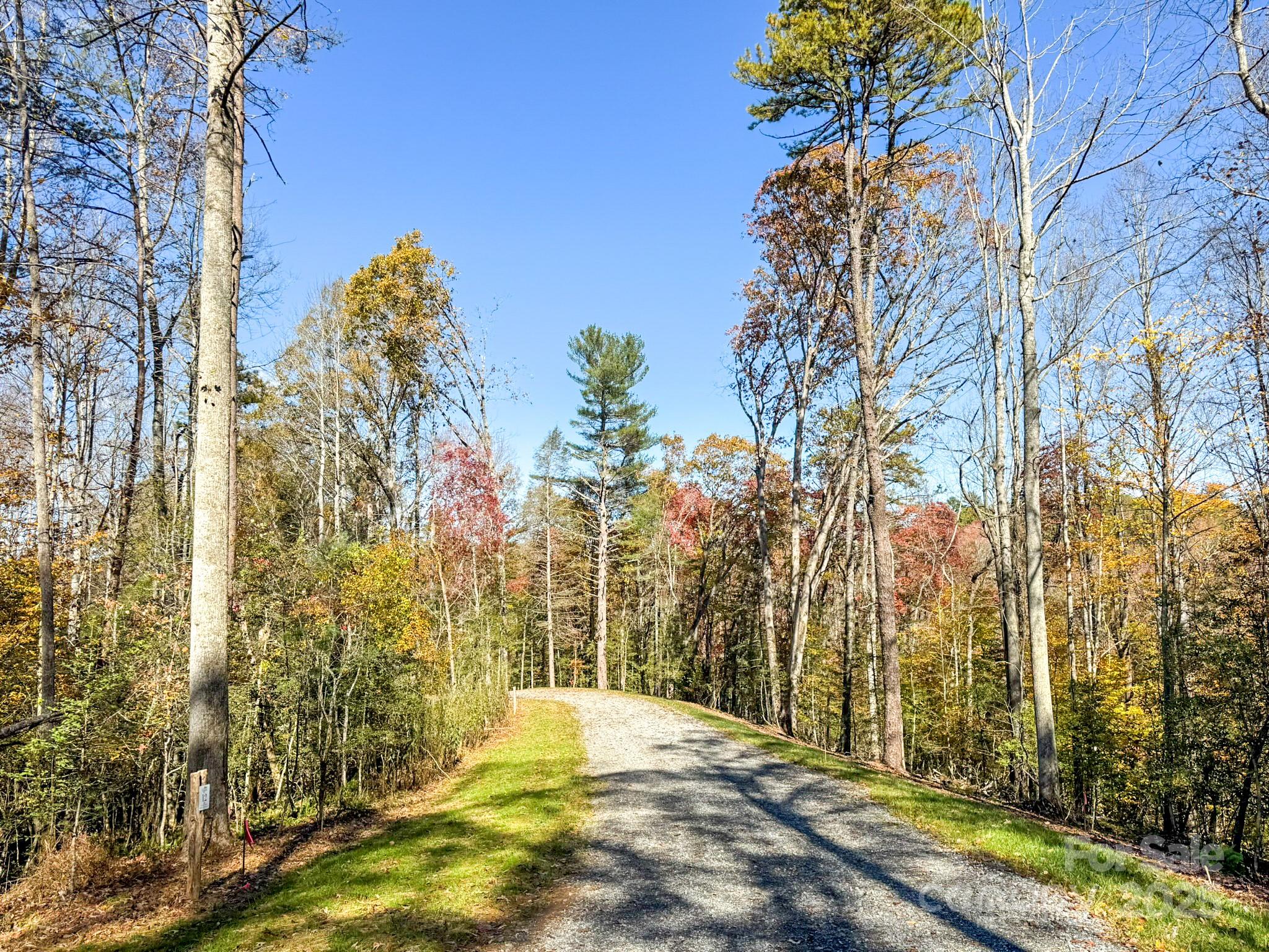 0 Reserve Way, Unit 11 Hendersonville, NC 28792 - Photo 5 of 48 a view of back yard of the house