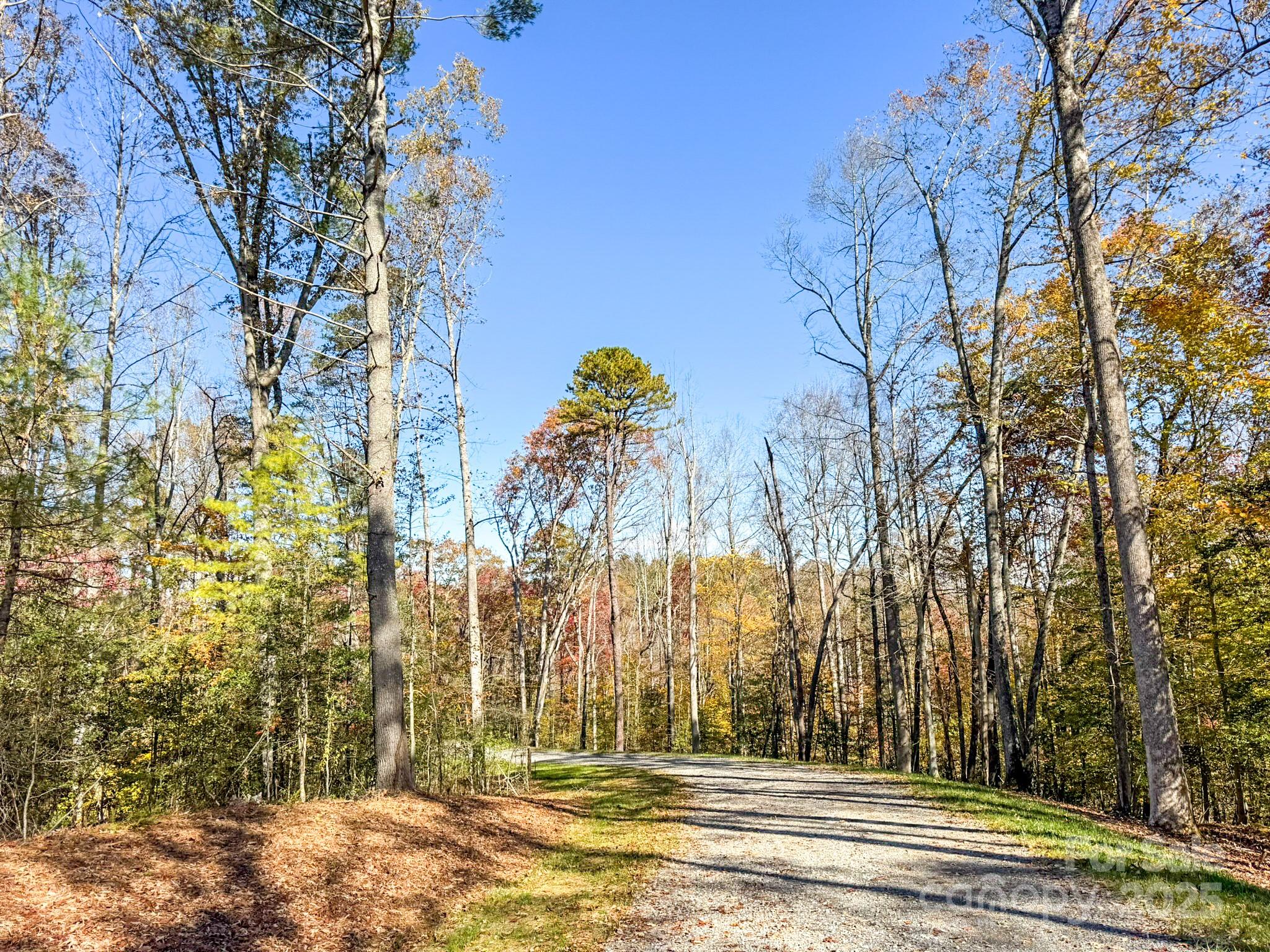 0 Reserve Way, Unit 11 Hendersonville, NC 28792 - Photo 6 of 48 a view of park along with trees