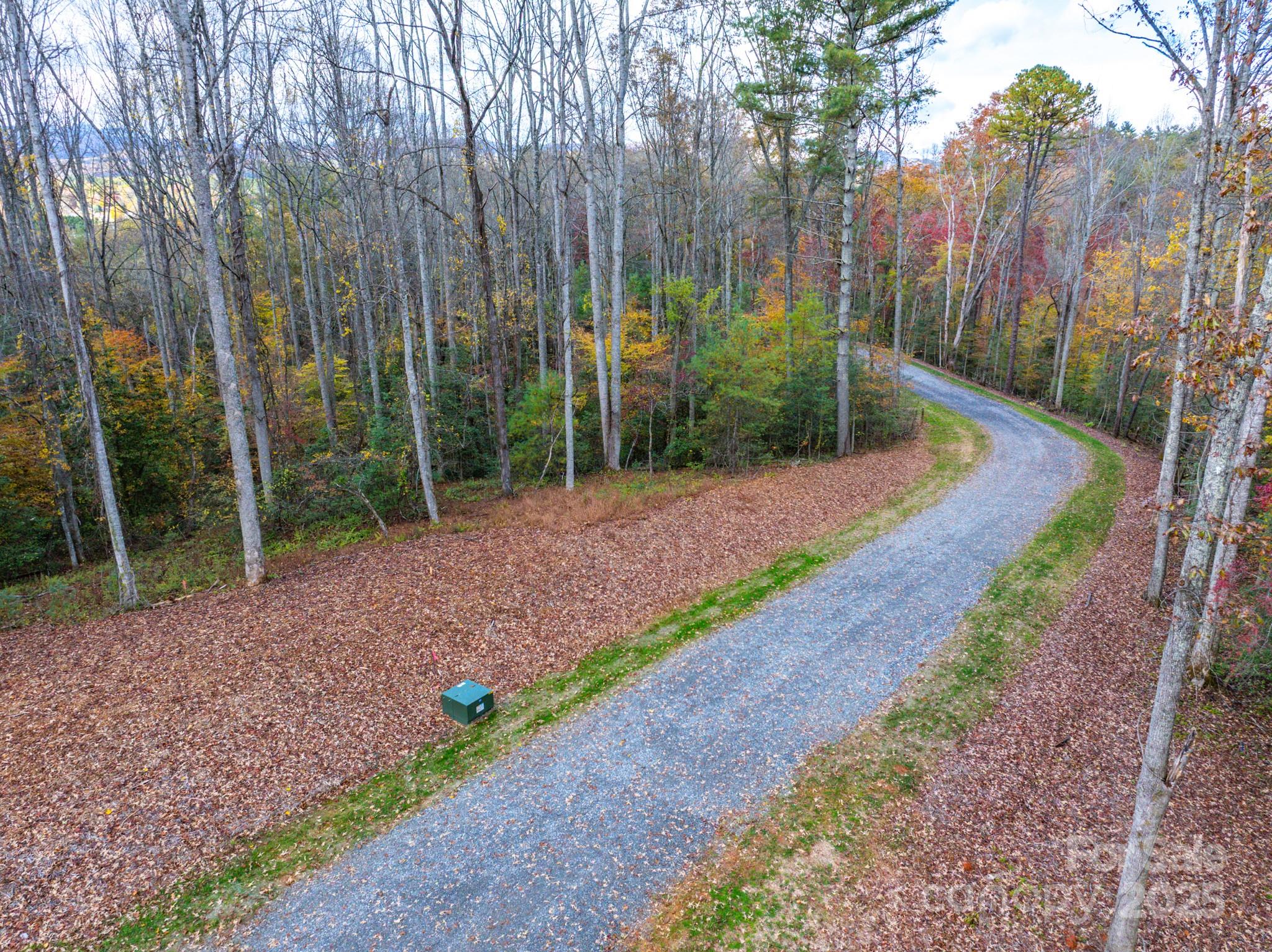 0 Reserve Way, Unit 11 Hendersonville, NC 28792 - Photo 7 of 48 a view of a backyard with large trees