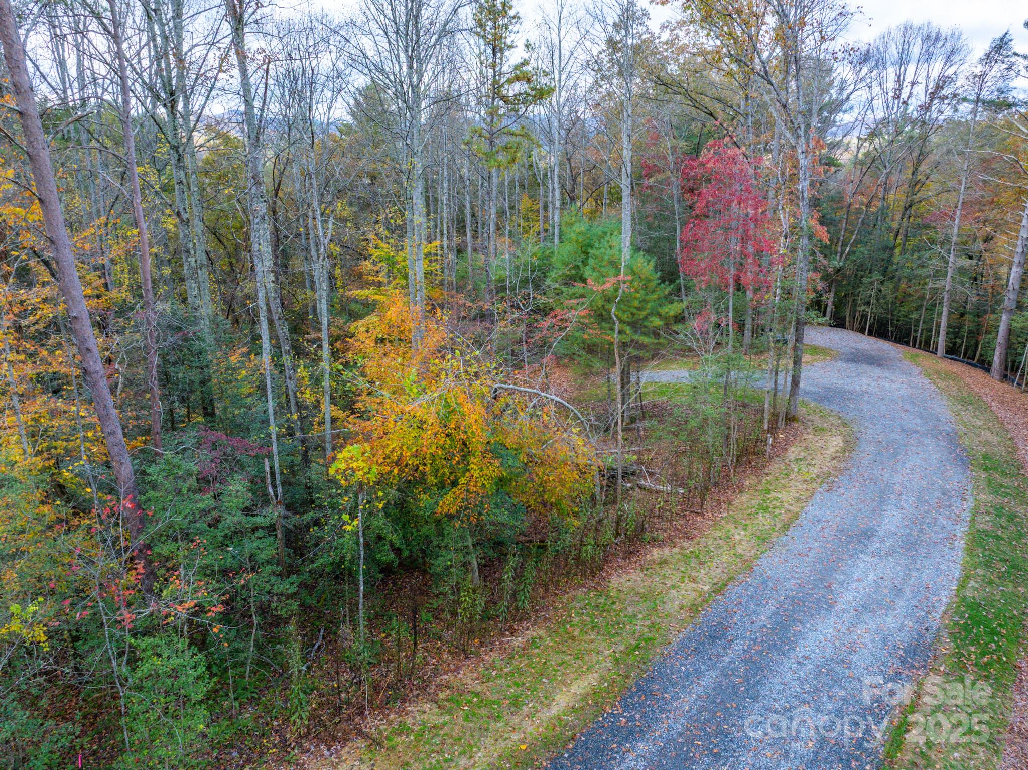 0 Reserve Way, Unit 11 Hendersonville, NC 28792 - Photo 9 of 48 a view of lake