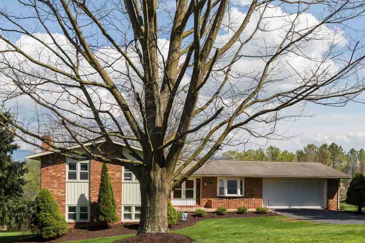 165 Rorrer Circle Harrisonburg, VA 22801 - Photo 21 of 27 A beautiful mature tree highlights the front yard.