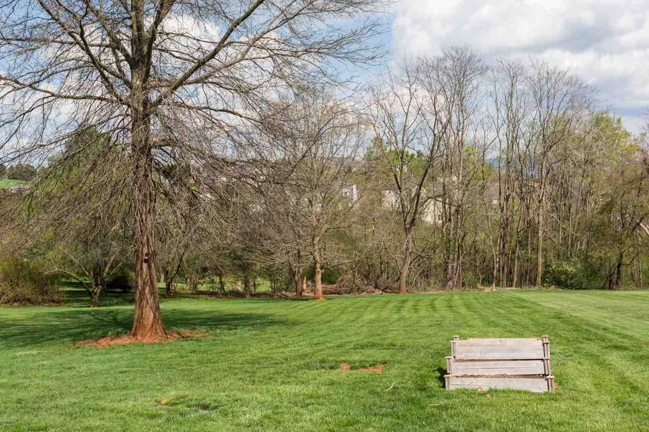 165 Rorrer Circle Harrisonburg, VA 22801 - Photo 27 of 27 The home sits on almost 0.7 acres and boasts a very large backyard with a screen of trees at the back - plenty of space for gardening, pets, or play!