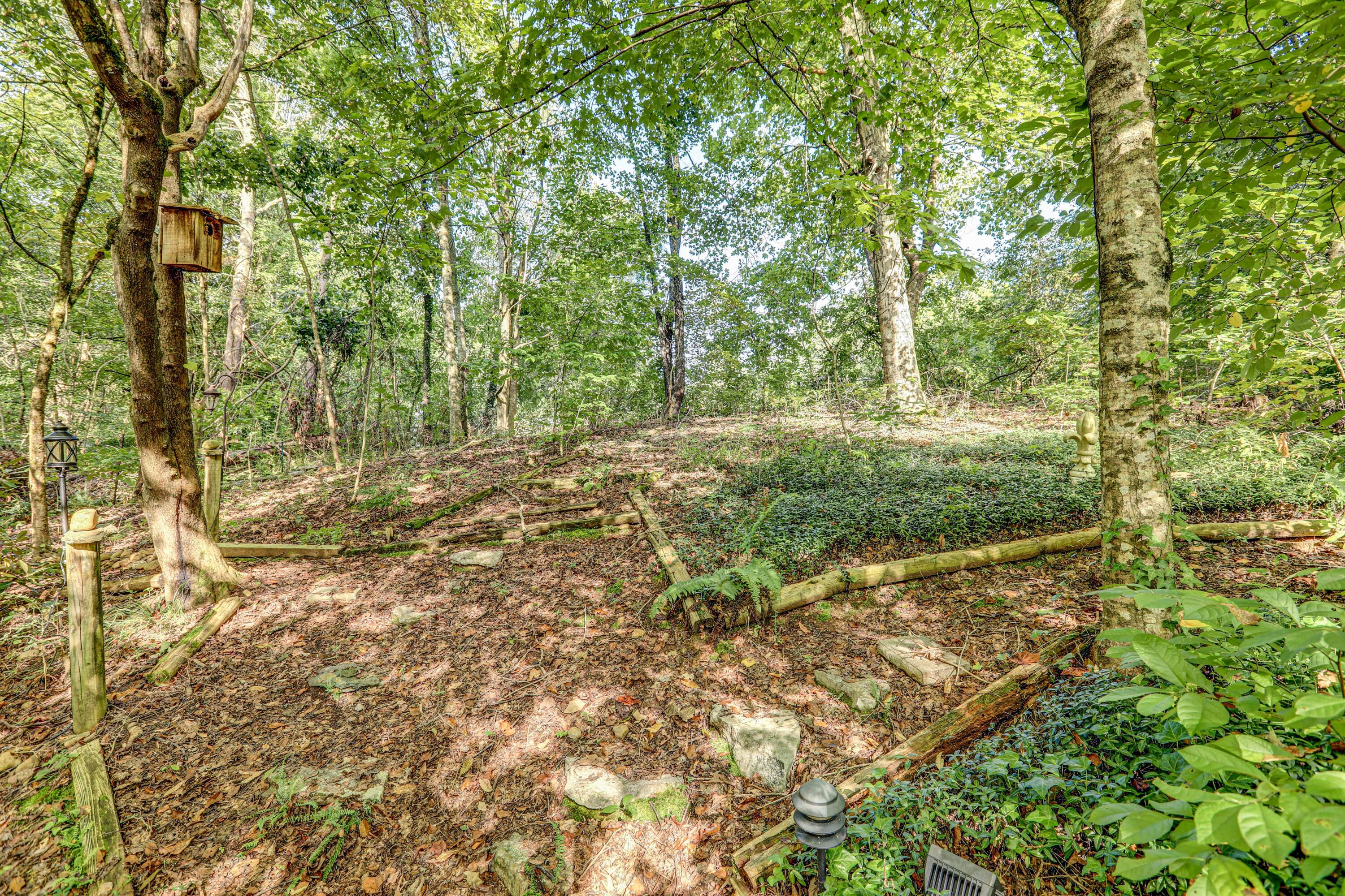 1541 Riverside Road Bluff City, TN 37618 - Photo 19 of 69 B42A6426_27_28_29_30