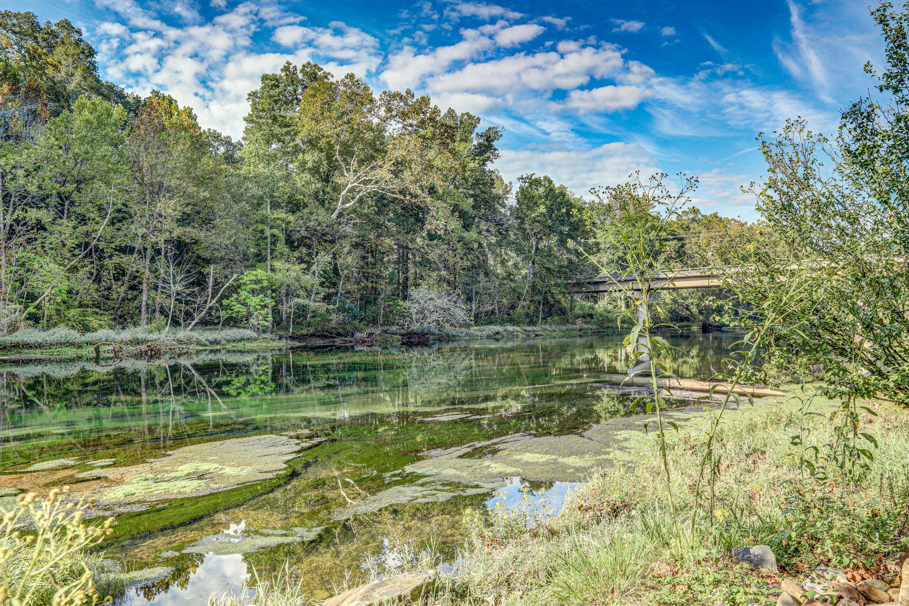 1541 Riverside Road Bluff City, TN 37618 - Photo 8 of 69 B42A6371_2_3_4_5