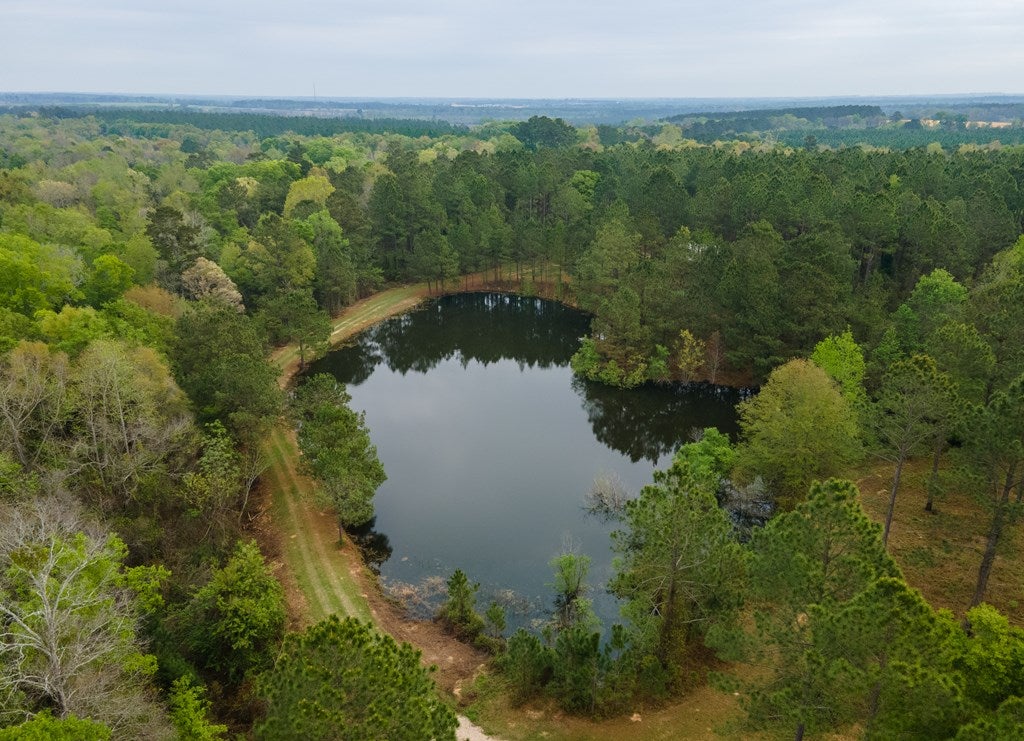 649 Okapilco Church Road Dixie, GA 31629 - Photo 17 of 49 Gallery Image 17