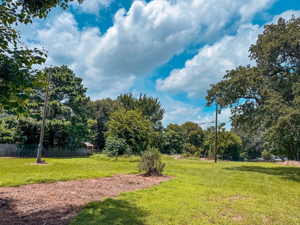 1711 West Point Tap Road Palestine, TX 75803 - Photo 11 of 17