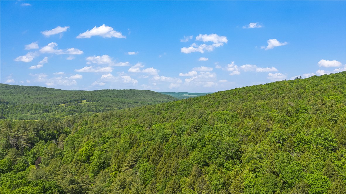 272 Neff Hill Road Bainbridge, NY 13733 - Photo 3 of 50