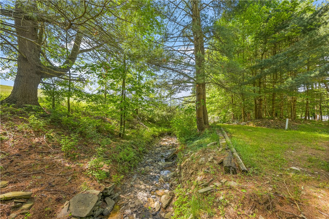 272 Neff Hill Road Bainbridge, NY 13733 - Photo 36 of 50