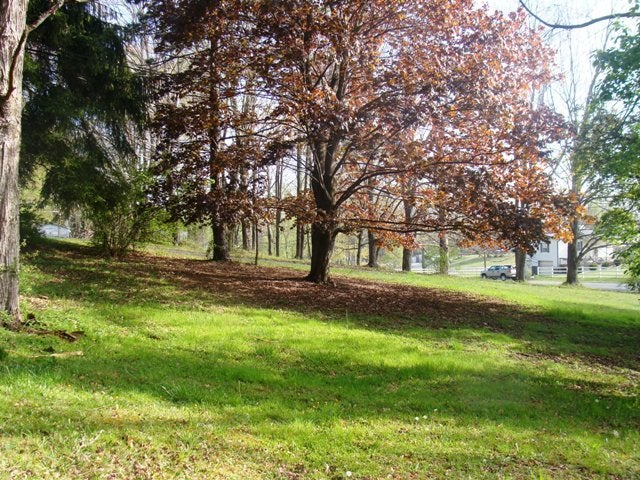 1372 Flat Top Road Shady Spring, WV 25918 - Photo 11 of 19 May 4th Auction, 12 noon Greene Estate