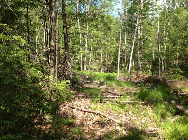 Tbd Pine Brook Road Wilton, ME 04294 - Photo 2 of 8 Photo