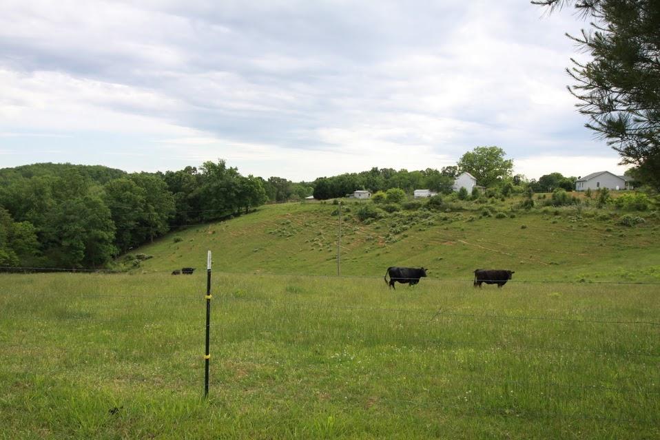 1718 Morewood Road Hardy, VA 24101 - Photo 33 of 36 34a