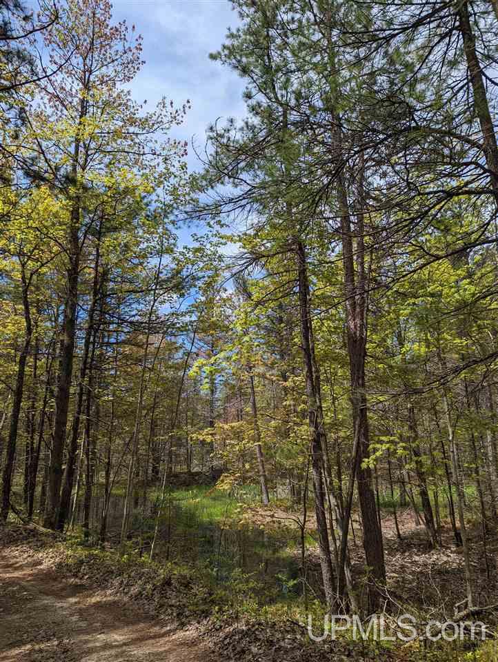 0 South Lake Michigan Road Gulliver, MI 49840 - Photo 5 of 8 Gallery Image 5