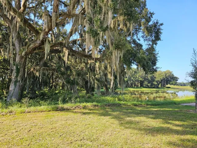 a backyard of a house with lots of green space