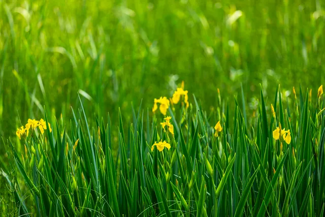 $895,000 | 100 Pomfret Road, Woodstock, VT 05091