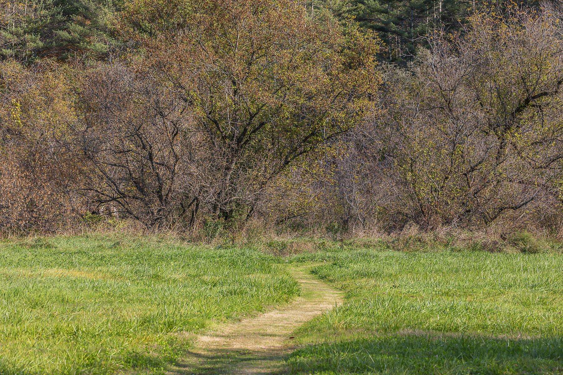 100 Pomfret Road Woodstock, VT 05091 - Photo 8 of 50