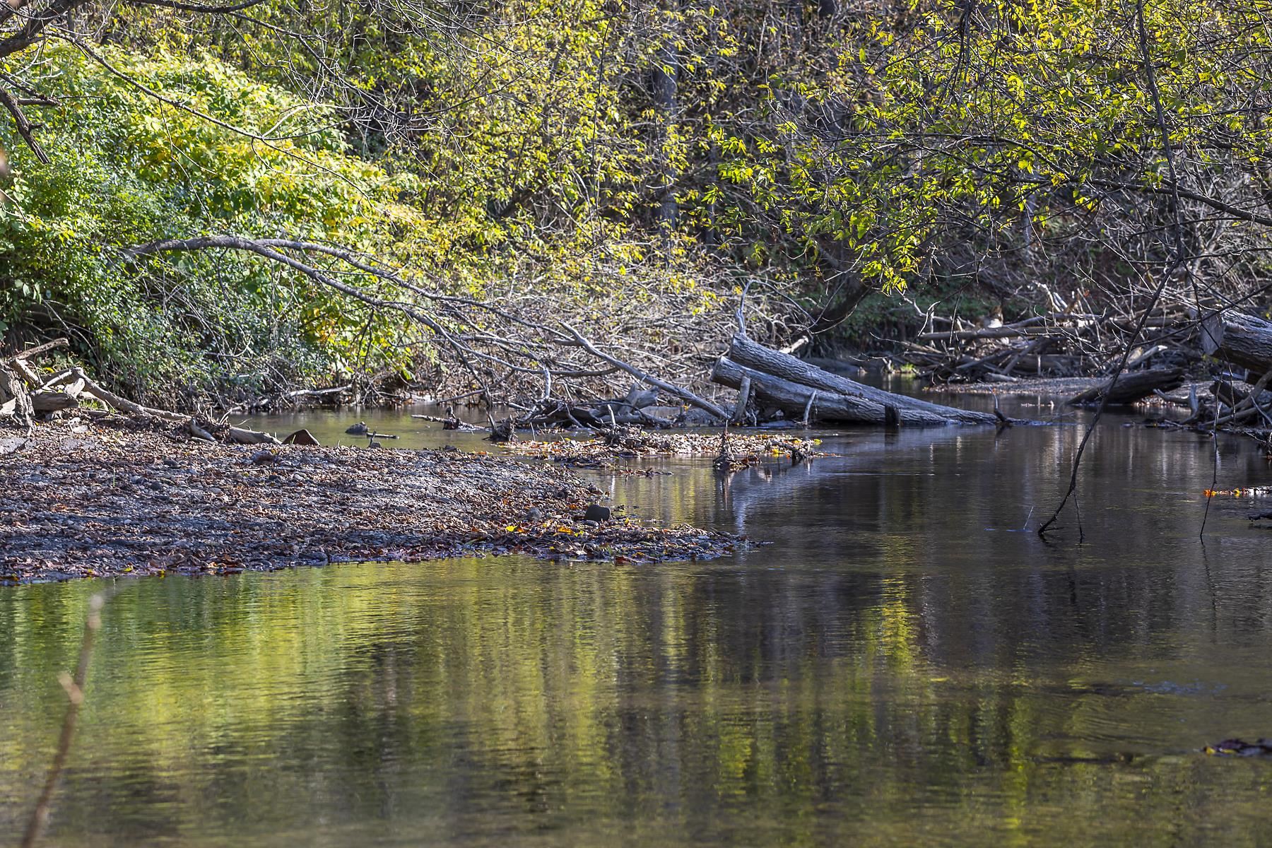 100 Pomfret Road Woodstock, VT 05091 - Photo 9 of 50