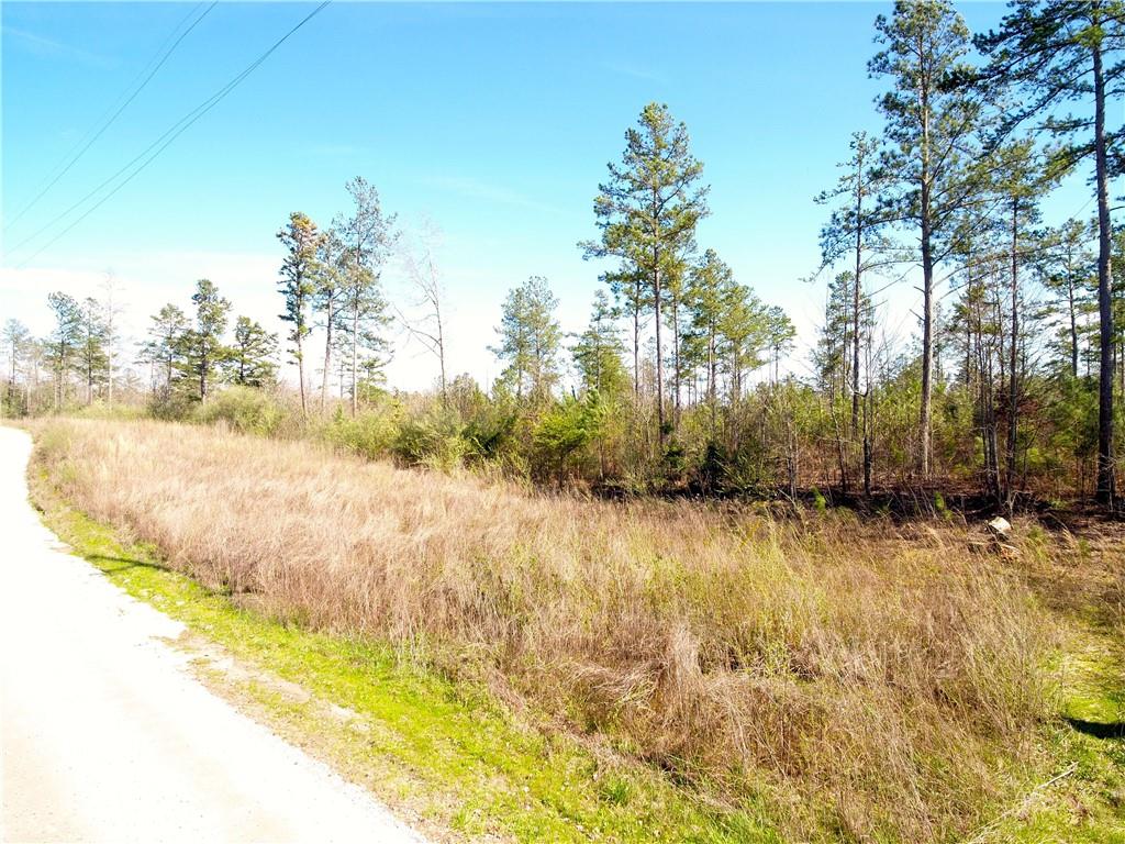 1 Steele Bridge Road Dawsonville, GA 30534 - Photo 1 of 1 Gallery Image 1