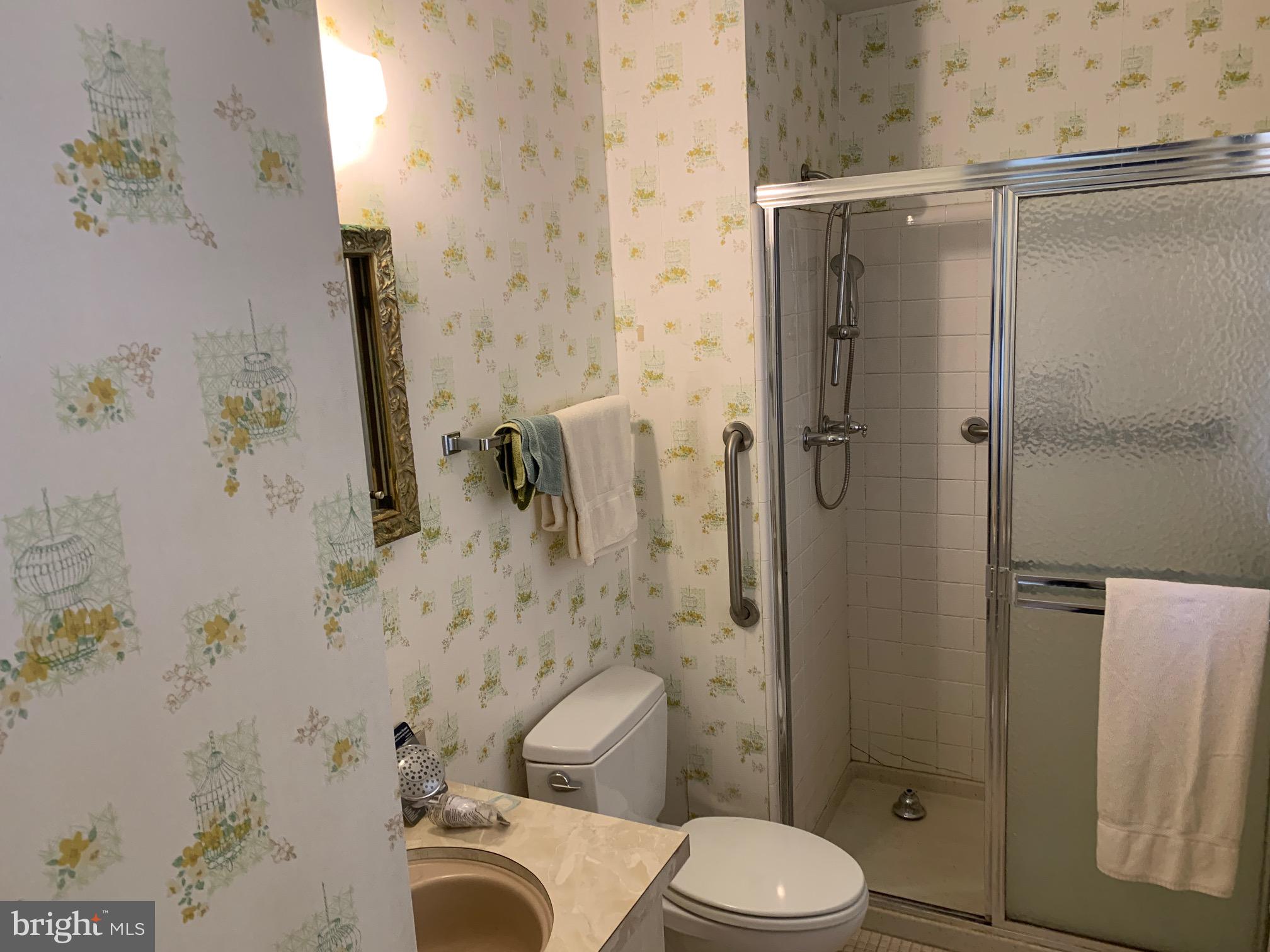 3811 Winterset Drive Annandale, VA 22003 - Photo 23 of 50 Primar Shower Bath