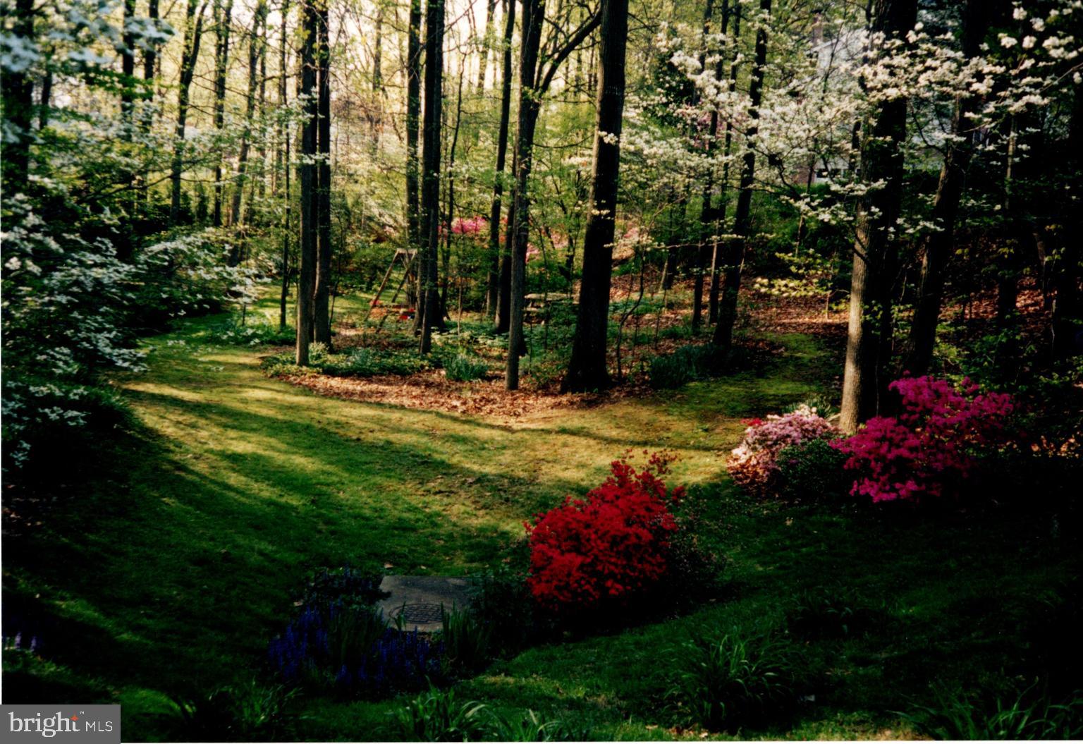 3811 Winterset Drive Annandale, VA 22003 - Photo 40 of 50 Beautiful glen