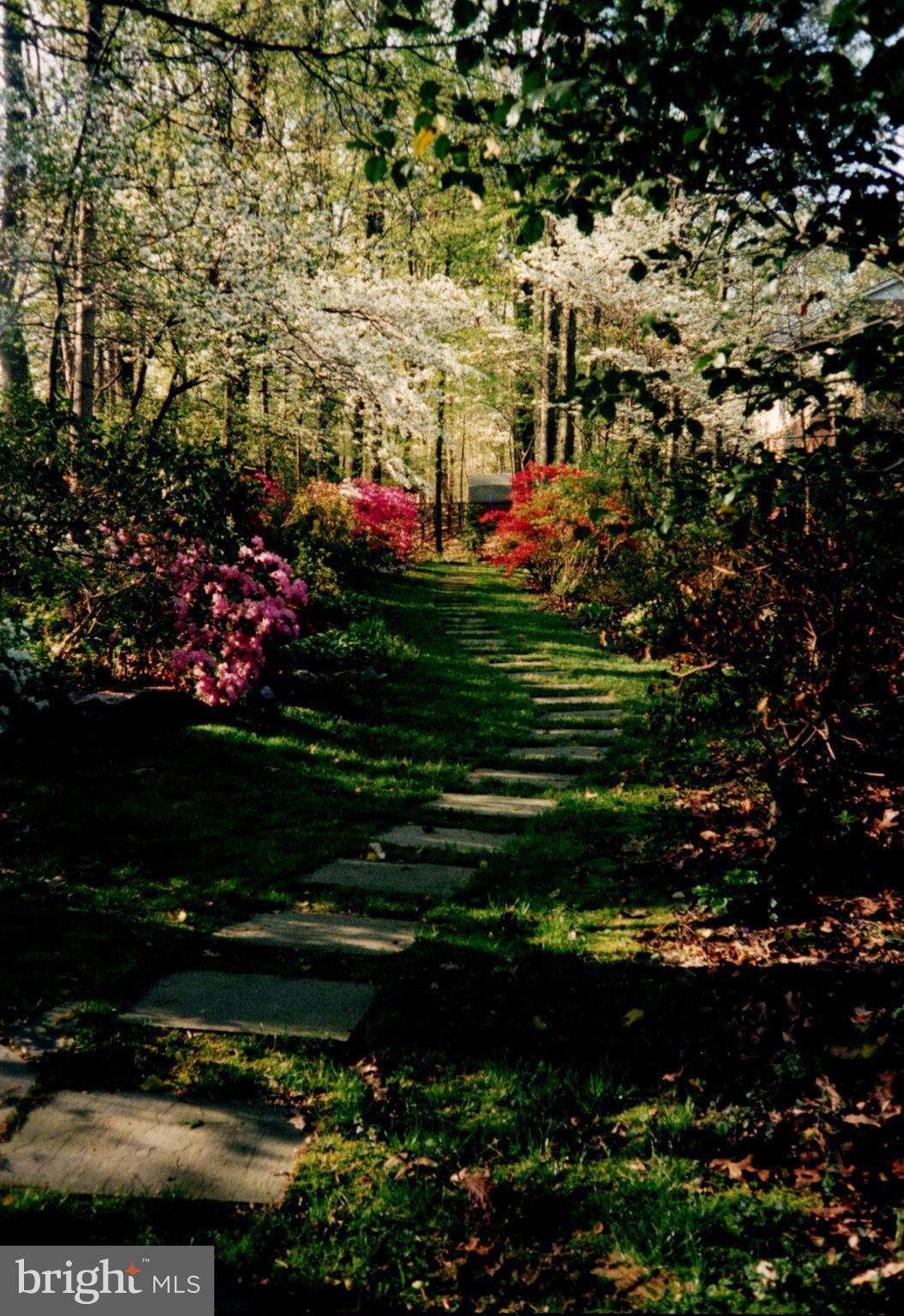 3811 Winterset Drive Annandale, VA 22003 - Photo 42 of 50 Flower glen