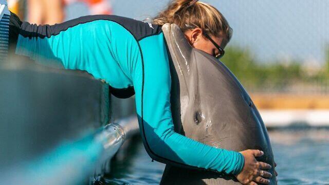 210 Schooner Lane Duck Key, FL 33050 - Photo 31 of 38 1586452298-2n2a0182_thumbnail.640x360