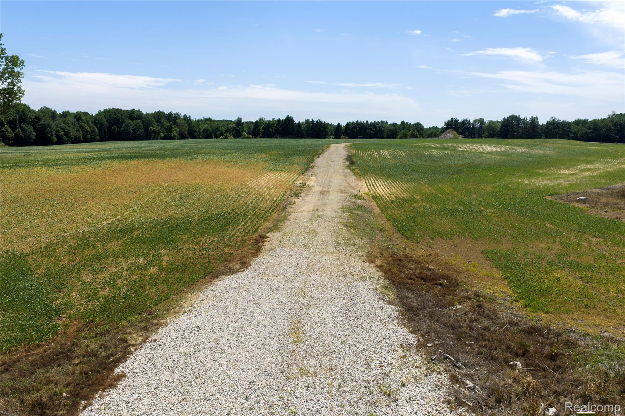 Vl Applegate Road Applegate, MI 48401 - Photo 2 of 13 02.jpg