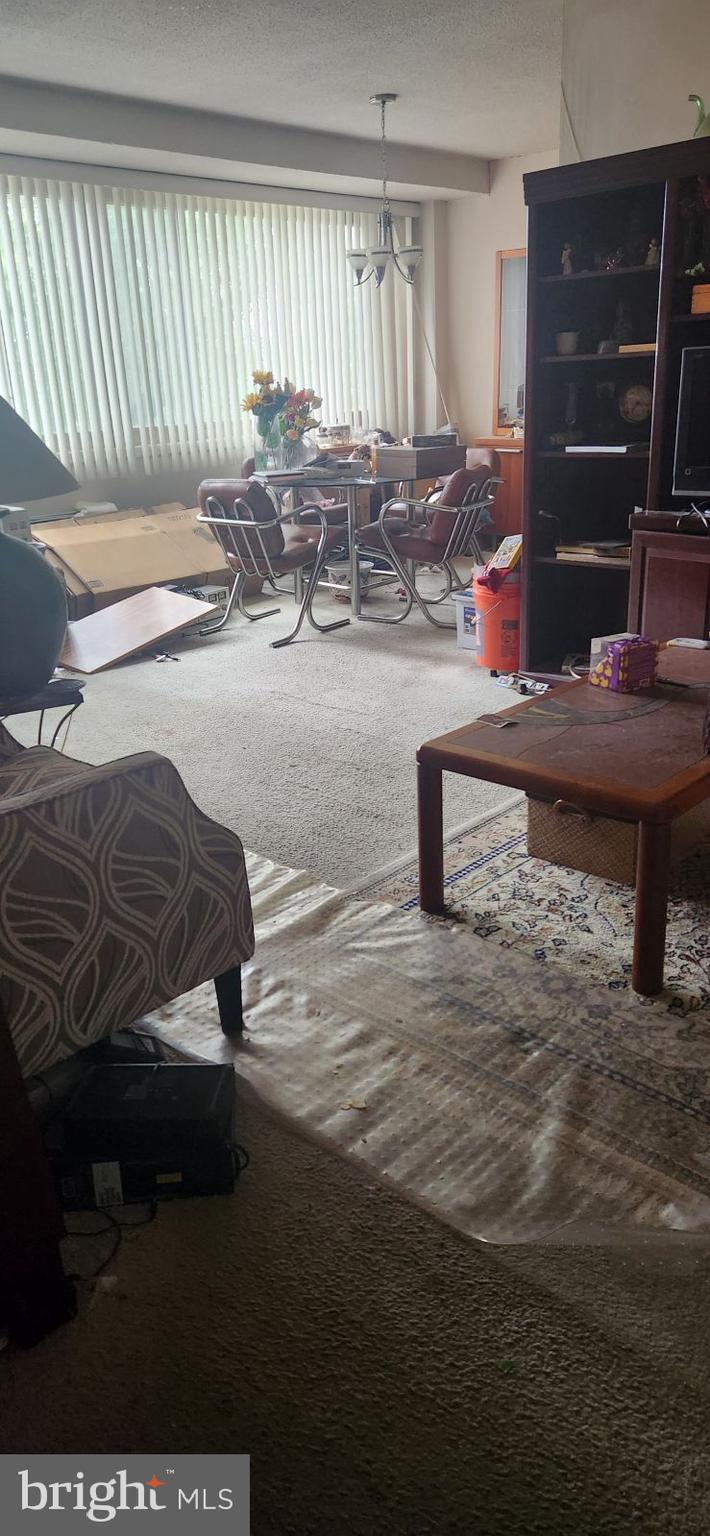 4410 Oglethorpe Street, Unit 503 Hyattsville, MD 20781 - Photo 2 of 5 a view of livingroom with furniture and window