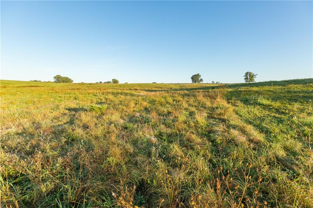0 Southeast 401st Road Leeton, MO 64761 - Photo 11 of 42