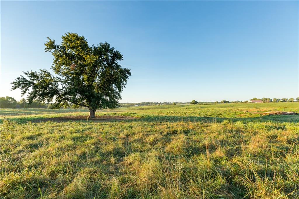 0 Southeast 401st Road Leeton, MO 64761 - Photo 19 of 42