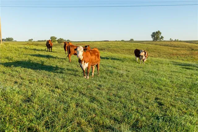 $99,500 | -a-1) Southeast 401st Road, Leeton, MO 64761