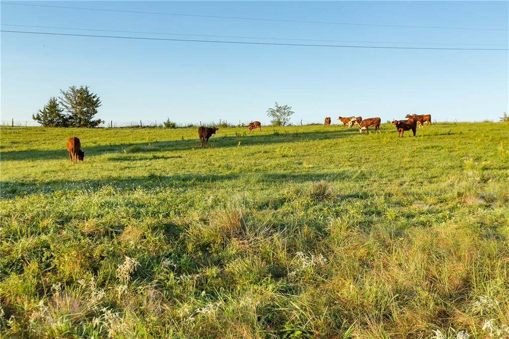 0 Southeast 401st Road Leeton, MO 64761 - Photo 9 of 42