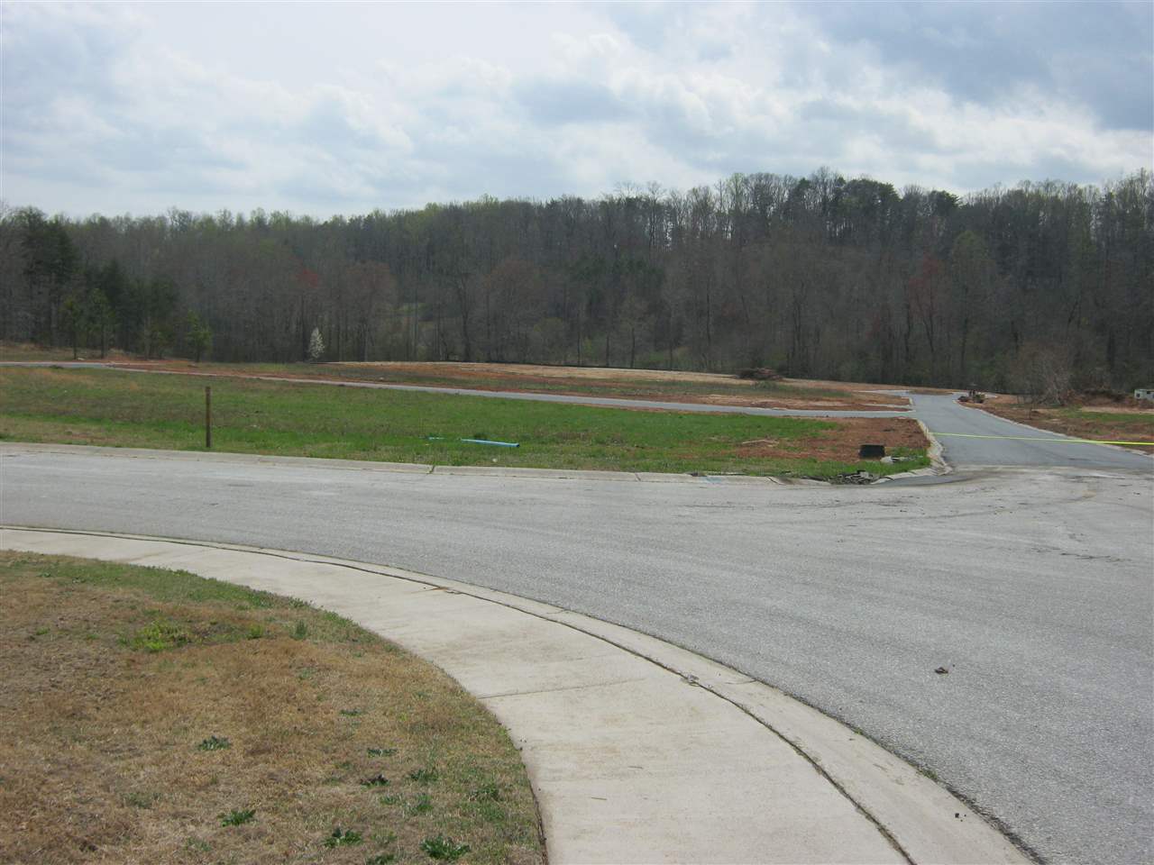 Redland Road Landrum, SC 29356 - Photo 8 of 8