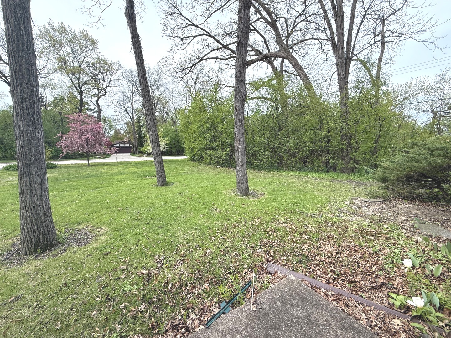 980 Mellody Road Lake Forest, IL 60045 - Photo 5 of 8