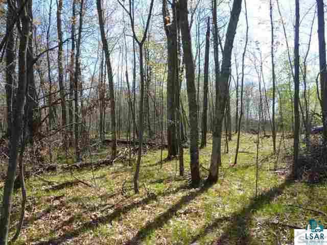Lot 7 Buck Lake Road Webster, WI 54893 - Photo 1 of 11 Gallery Image 1