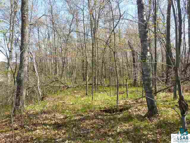 Lot 7 Buck Lake Road Webster, WI 54893 - Photo 11 of 11 Gallery Image 11