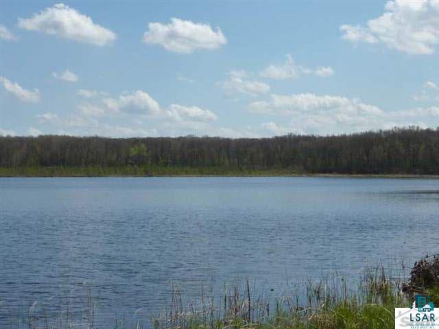 Lot 7 Buck Lake Road Webster, WI 54893 - Photo 3 of 11 Gallery Image 3