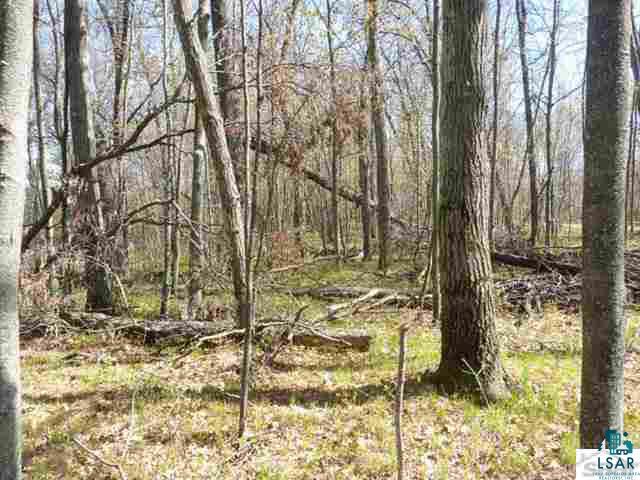 Lot 7 Buck Lake Road Webster, WI 54893 - Photo 7 of 11 Gallery Image 7