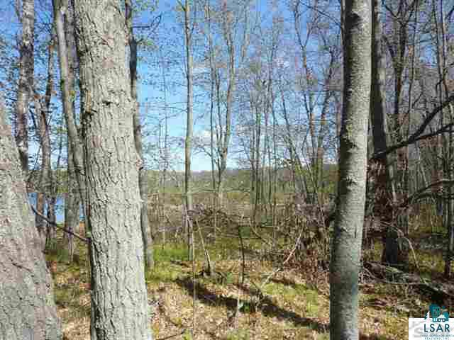 Lot 7 Buck Lake Road Webster, WI 54893 - Photo 8 of 11 Gallery Image 8