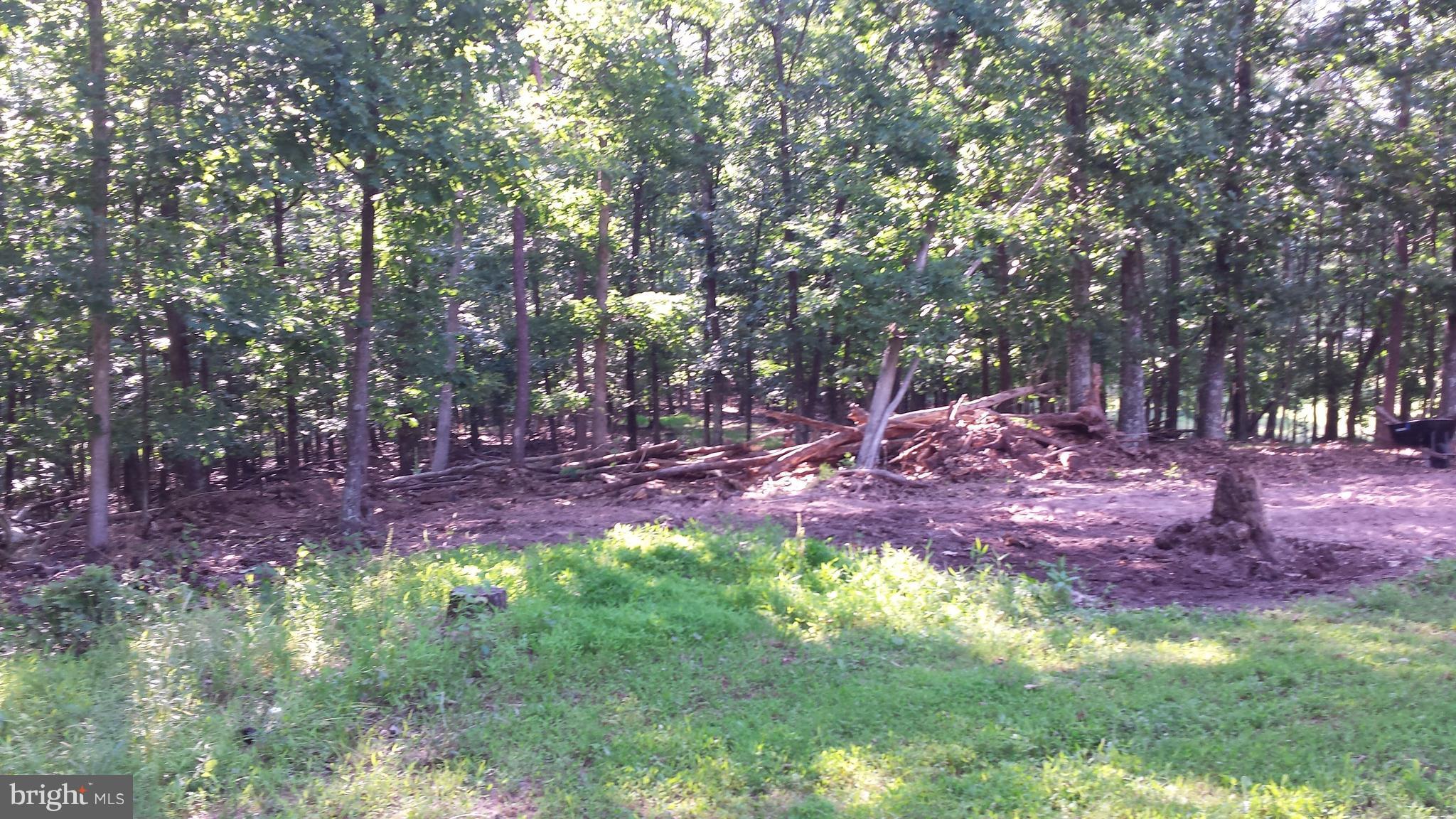 2846 Mauzy Road Berkeley Springs, WV 25411 - Photo 25 of 29 Some of the trees have been cut